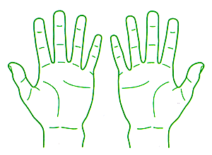 V`n^p^@×pl̐}@̕20×30mm