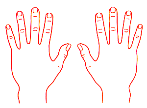 V`n^p^@×pl̐}@̍b40×50mm