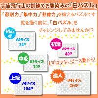 楽天市場 白パズル ａ５サイズ ロンピカーポ