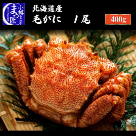 【北海道産 毛蟹 1尾】北海道産 直送 蟹 毛蟹 ギフト オホーツク海 ボイル カニ かに