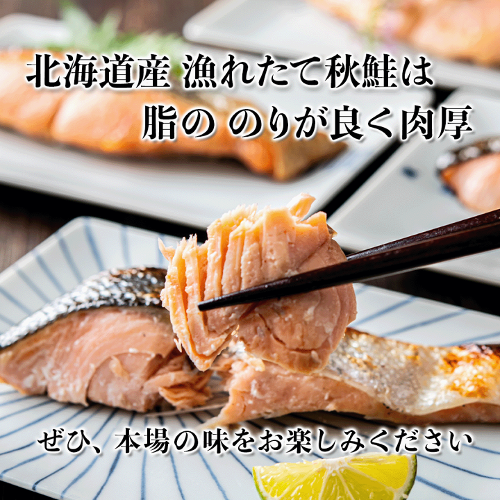 お試しポスト投函送料無料 Nsニッセイ 小樽産まれ浜育ち しゃけ サーモン おつまみ 辛口 珍味 燻製658円 鮭の自然派ジャーキー鮭子 サケ