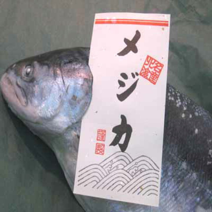 楽天市場 送料無料 限定商品1000匹から１匹しか獲れない稀少なめじか鮭３キロ前後 小樽 海産物専門店小町商店