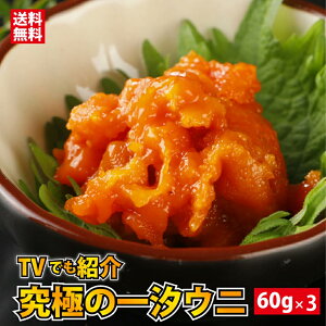hV̓ j V kC 當Y   Y G]otEj    ЂƉ ( 60g) 3{ Mtg lߍ킹 Zbg kCY ԃEj Ej r rl kC yY 