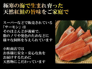 送料無料希少天然紅鮭ハラスはらす北海道海鮮海産物送料無料ギフトお中元お歳暮
