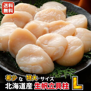 Ε  V kC tY 󏭂  LTCY i10`12 jق L 500g (  Ⓚ )ʌ̂߂}  z^e hg CN Hi Hו o[xL[ Ε