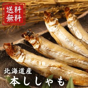   kCY { Ԑ  ̔ Y V kCY { IX 30 (  jȂ|ÏkĂ܂ kC Y kCO 