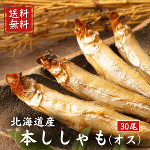   kCY { Ԑ  ̔ Y V kCY { IX 30 (  jȂ|ÏkĂ܂ kC Y kCO 