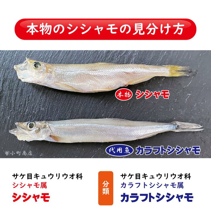 楽天市場 お歳暮 ししゃも 楽天ランキングシシャモ部門１位 送料無料 北海道産 国産 本ししゃも 無添加 天日干し メス1串 10匹 期間数量 限定 販売 シシャモ 柳葉魚 北海道 お土産 魚 さかな 食品 グルメ 食品 大変貴重なししゃもを数量限定販売 小樽