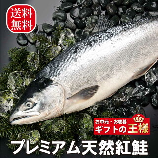楽天市場 天然 鮭 送料無料 楽天１位 お中元 お歳暮の王様 プレミア天然紅鮭 小樽 海産物専門店小町商店