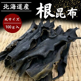 100％ 新物 北海道産 天然昆布使用 北海道 日高産 無添加 根昆布 100g わけあり でない だし ダシ 出汁 昆布水 こんぶ水 コンブ水 昆布だし 昆布出汁こぶだし 出汁昆布 だしこんぶ 根昆布だし 根昆布ダシ ねこんぶだし ねこぶ 海藻 コンブ 乾燥昆布 お取り寄せ 国産 メール便