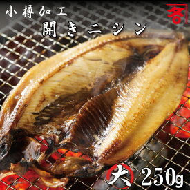 干物 北海道 小樽加工 にしんの開き（大）250g 前後 真空パック 魚干物 魚の干物 ひもの 魚 海産物 にしん開き ニシン開き 鰊開き にしん 干し ニシン お土産 お取り寄せグルメ 干物 食品 食べ物 干物 海鮮 海産物 魚 冷凍食品