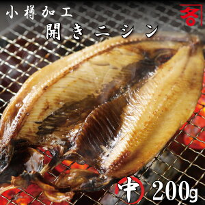 kC MH ɂ̊Jij200g ^ pbN    jV ɂ ɂJ jVJ  ׊J 蕨 Mtg yNzW2025z