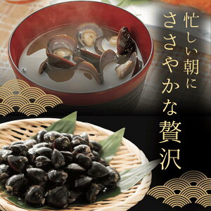 ʌ Y ݖX` 4H Y  ` VW~`  X` ݏ` CX^g X` Y  GLX X` X` y 퉷 퉷ۑ gg CX^gH