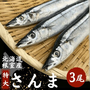 ʌI V ̂蔲Q kC Y Y   140g O 3 6{ { ̂ Y΂ŃW[V[   i̓ɂ Ă H Ă T}  