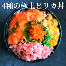 4種の極上ピリカ丼〜ウニ入れちゃいました〜（4食セット）送料無料 父の日 ギフト プレゼント 手巻き寿司 ちらし寿司 刺身 ネギトロ サーモン いくら ウニ 簡単解凍 冷凍 お祝い 贈り物 誕生日 記念日 マグロ 海鮮セット お歳暮 御年賀