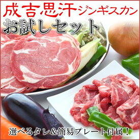 送料無料 ラム肉ジンギスカンお試しセット 合計1.1kg 北海道グルメ 成吉思汗 BBQ
