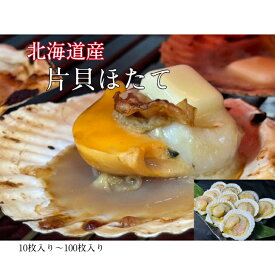 ほたて 片貝 殻付き 北海道産 バーベキュー 炉端焼き 網焼きキャンプ アウトドア 業務用 10枚入～100枚入 お好きな枚数で まとめ買いがお得 食べやすいウロ取り