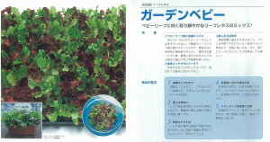 yxr[[tzxr[[t^X@K[fxr[k^LC琬l/܁i1.5mlj