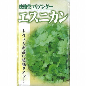 yn[uzӒRA_[@GXjJkŒ0336@t^ol/܁i10mlj