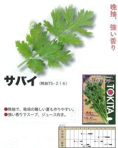 yn[uzRA_[ipN`[EVc@CE؁j@ToCiӒTS-216jkgL^cl/܁i10.0mlj