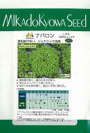 【レタス】ナバロン（MKS-L147）〔ヴィルモランみかど〕《登録品種》品種名NAVARONE