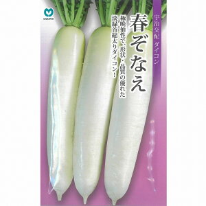 �y�_�C�R���z�t���Ȃ��iMRX-418�j�k�F����z�l