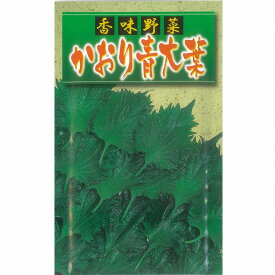 【その他の菜類】かおり青大葉しそ〔アサヒ〕/小袋 （6.0ml）