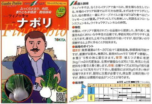 yC^A̖؁zGustoItalia t[XtFl i|itBmbLIj igL^j/܁i80j