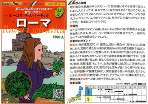 �y�C�^���A�̖�؁zGustoItalia ���C���h���P�b�g ���[�}�i���[�R���E�Z���o�[�e�B�J�j�i�g�L�^�j/����