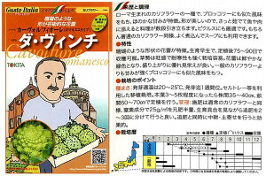 yC^A̖؁zGustoItalia J[{tBI[i}lXR^Cvj _EB`iJt[jk_Czl/܁i50j