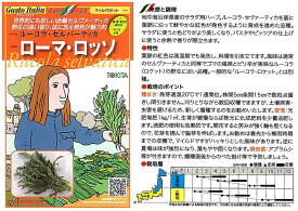 楽天市場 ルッコラ セルバチコの通販