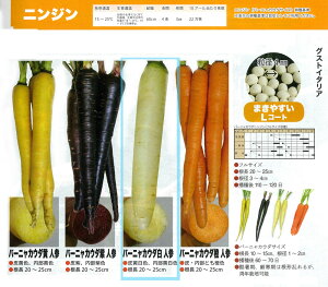 yC^A̖؁zGustoItalia@o[jJE_@lQigL^j/1痱iLR[gj