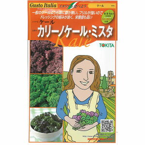 yC^A̖؁zGustoItalia@P[@J[mP[E~X^iP[jk_Czl/܁i20x2j