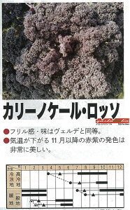 yC^A̖؁zGustoItalia@J[mP[Eb\iP[jk_Czl/40