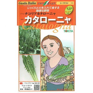 yC^A̖؁zGustoItalia@[t`R@`RAJ^[j@J^[jkgL^l/܁i50j