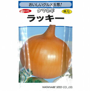 y^}lMzbL[kzl/܁i3mlj