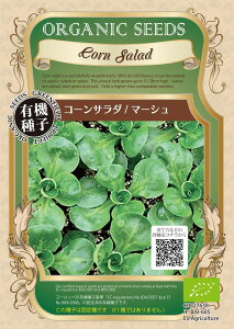 【オーガニックのハーブ】コーンサラダ マーシュ/小袋