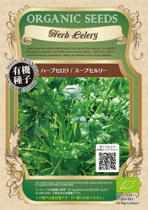 yI[KjbÑn[uzn[uZ@X[vZ[/