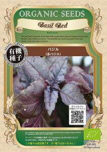 yI[KjbÑn[uzoWiԃoWj/