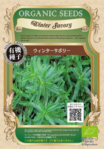 yI[KjbÑn[uzEB^[T{[/