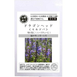 yI[KjbÑn[uzhSwbh hokŒl[A602]/܁i0.3gj