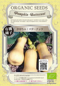 �y�I�[�K�j�b�N�̉ʍ؁z���ڂ���@�o�^�[�i�b�c/����