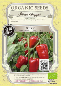 yI[KjbN̉ʍ؁zs[}iubL[^Cvi^)@ j/