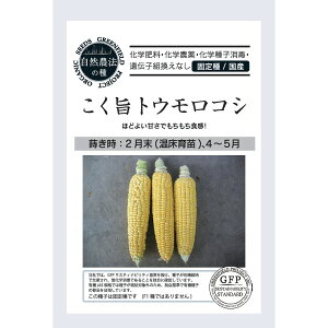【オーガニックの果菜】こく旨トウモロコシ A505 〔固定種〕/小袋(約8粒)