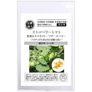 yI[KjbN̉ʍ؁zXgx[g}g HpzIYL P[vO[Xx[kŒl[A584]/܁i10j