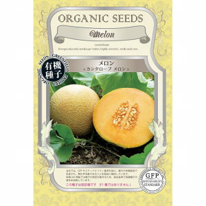 yI[KjbN̉ʍ؁z J^[v kŒl[A627]/܁i25j