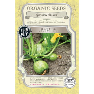 yI[KjbN̉ʍ؁zۃYbL[j CgO[kŒl[A628]/܁i20j