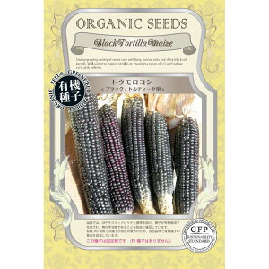 yI[KjbN̉ʍ؁zgERV ubN geB[pkŒl[A635]/܁i25j