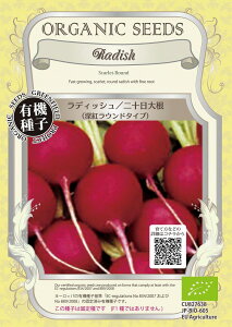 �y�I�[�K�j�b�N�̍��؁z���f�B�b�V���@��\���卪�i�[�g���E���h�^�C�v�j/����