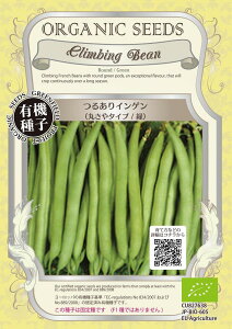 yI[KjbN̓ށz邠CQiۂ^Cv@΁j[A076]/܁i15j